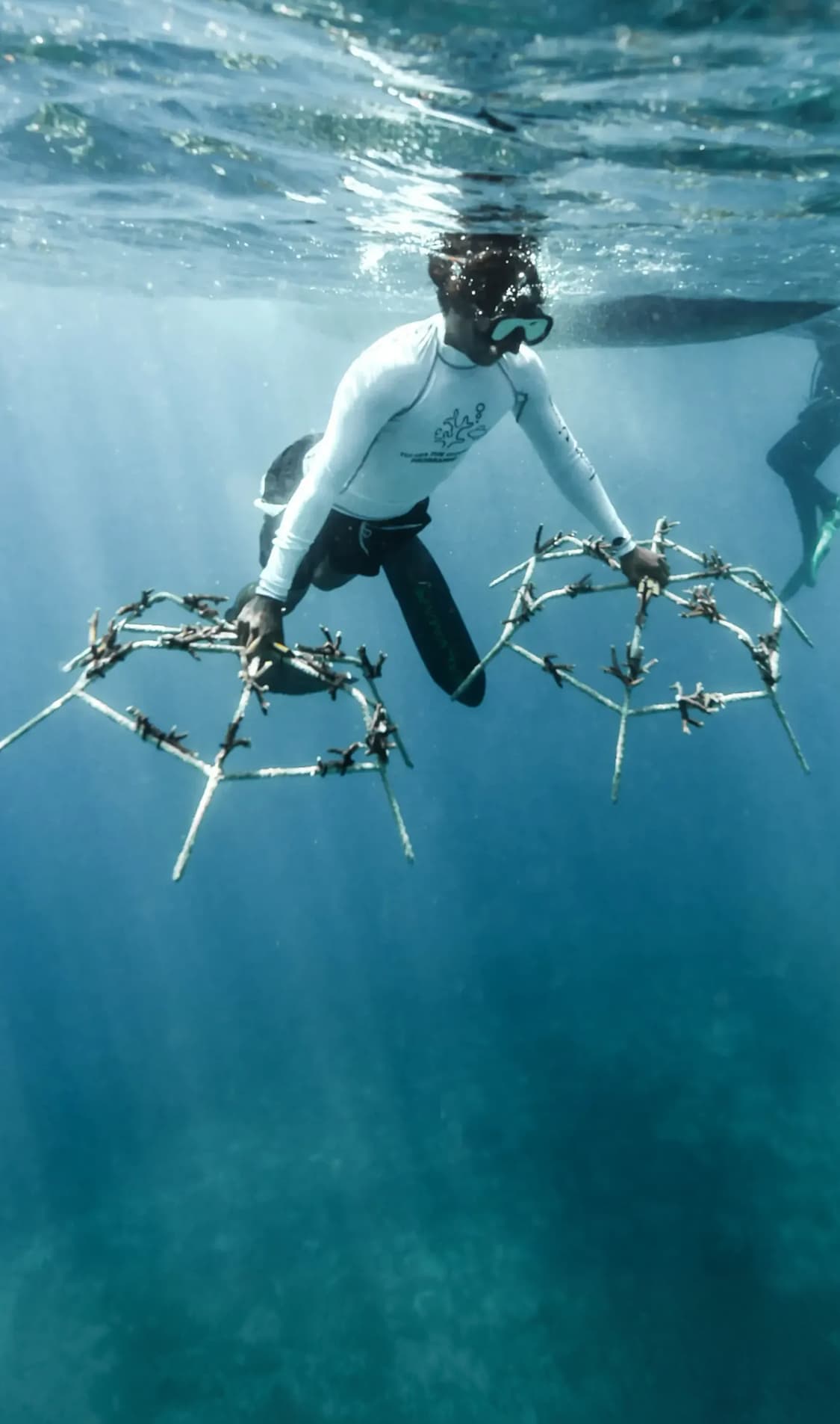 oceaterra