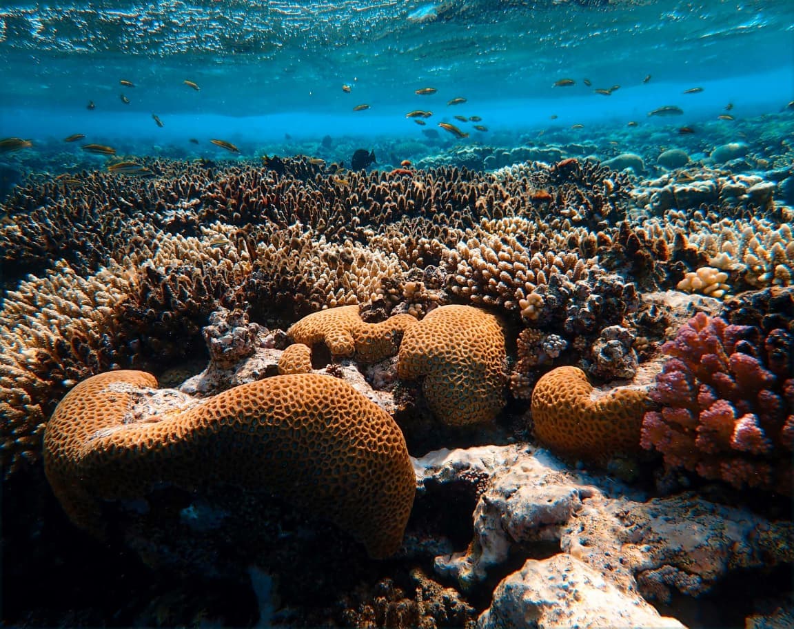 oceaterra