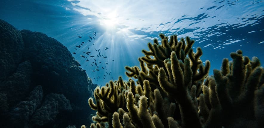 oceaterra