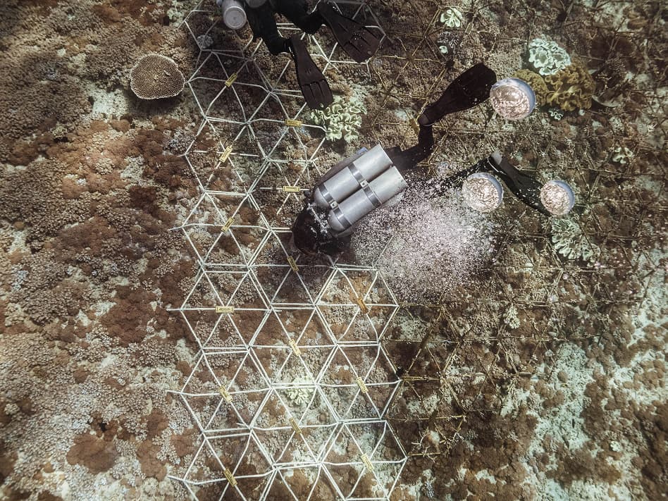 oceaterra