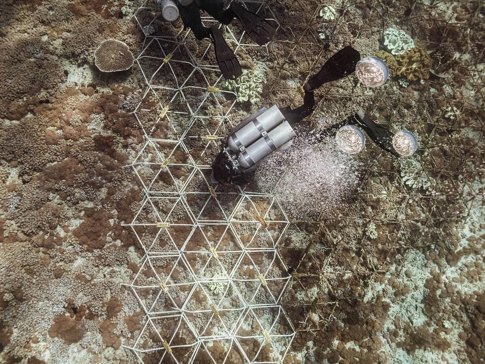 oceaterra